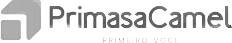 PrismasaCamel